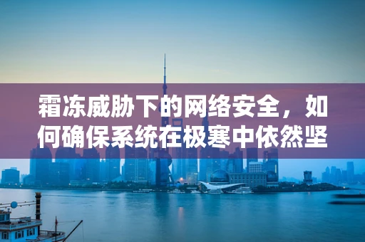 霜冻威胁下的网络安全，如何确保系统在极寒中依然坚如磐石？