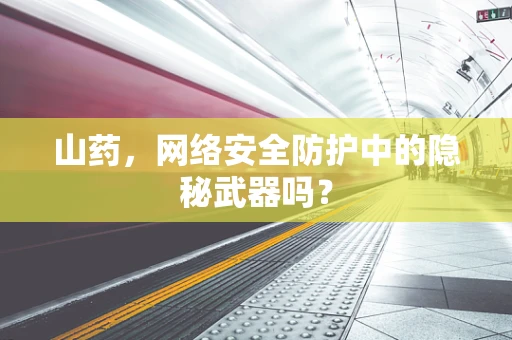 山药，网络安全防护中的隐秘武器吗？