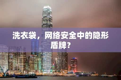 洗衣袋，网络安全中的隐形盾牌？