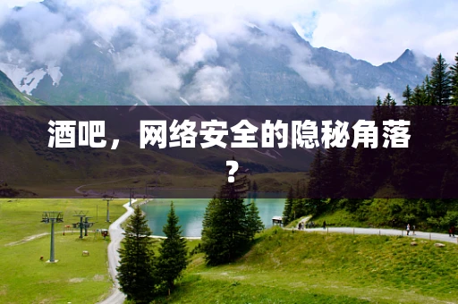 酒吧，网络安全的隐秘角落？