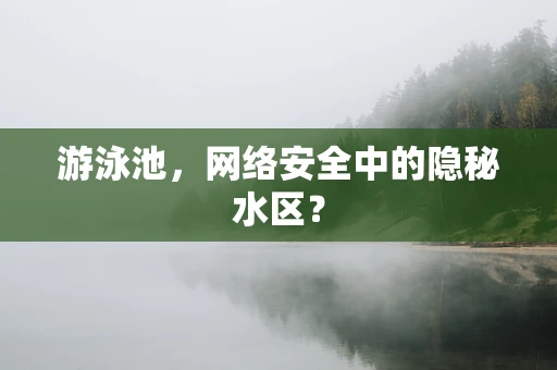 游泳池，网络安全中的隐秘水区？