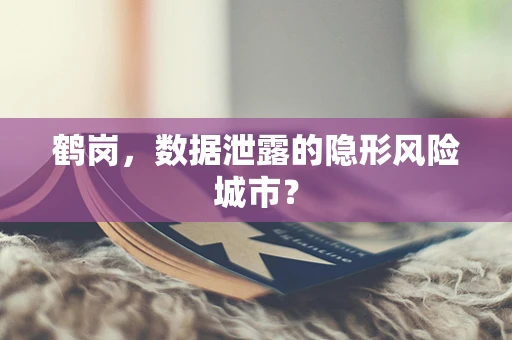 鹤岗，数据泄露的隐形风险城市？