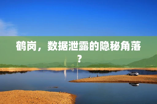 鹤岗，数据泄露的隐秘角落？