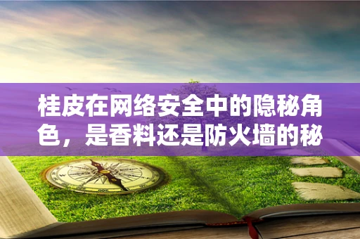 桂皮在网络安全中的隐秘角色，是香料还是防火墙的秘密武器？