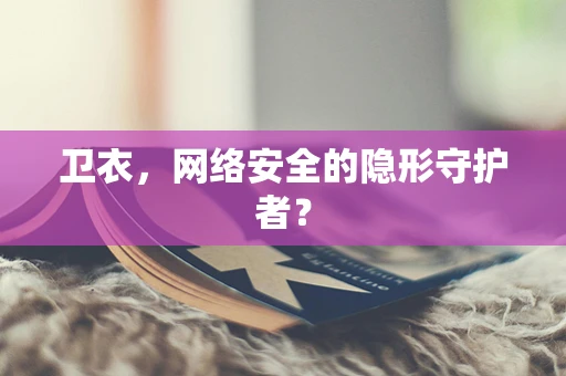 卫衣，网络安全的隐形守护者？