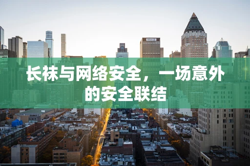 长袜与网络安全，一场意外的安全联结