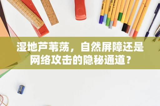 湿地芦苇荡，自然屏障还是网络攻击的隐秘通道？