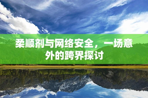 柔顺剂与网络安全，一场意外的跨界探讨