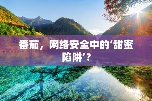 番茄，网络安全中的‘甜蜜陷阱’？