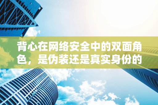 背心在网络安全中的双面角色，是伪装还是真实身份的暴露？