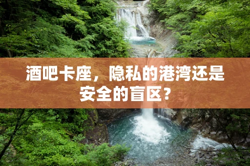 酒吧卡座，隐私的港湾还是安全的盲区？