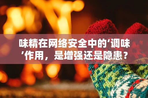 味精在网络安全中的‘调味’作用，是增强还是隐患？