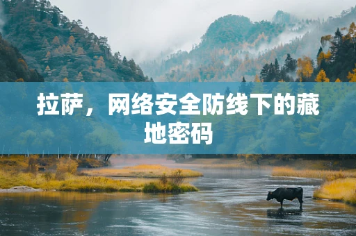 拉萨，网络安全防线下的藏地密码