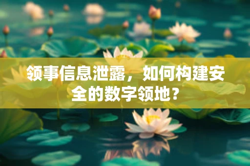 领事信息泄露，如何构建安全的数字领地？