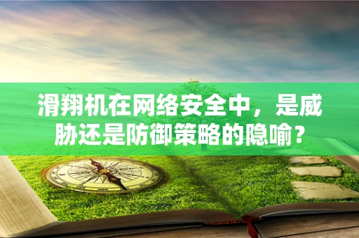 滑翔机在网络安全中，是威胁还是防御策略的隐喻？