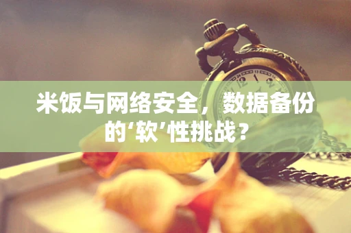 米饭与网络安全，数据备份的‘软’性挑战？