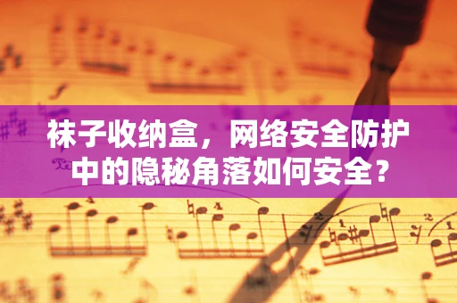 袜子收纳盒，网络安全防护中的隐秘角落如何安全？
