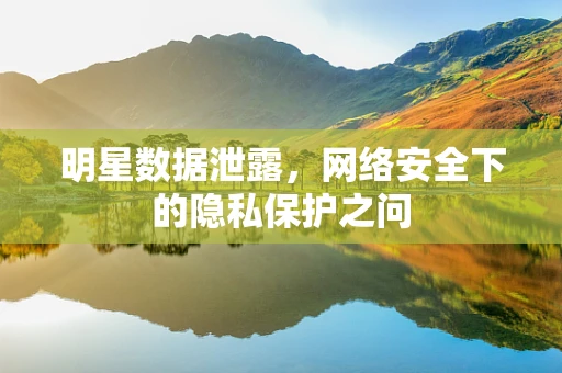 明星数据泄露，网络安全下的隐私保护之问