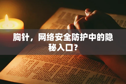 胸针，网络安全防护中的隐秘入口？