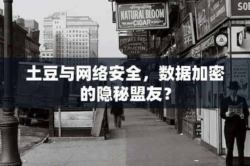土豆与网络安全，数据加密的隐秘盟友？