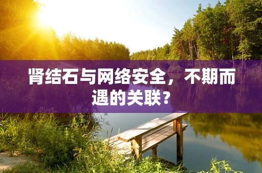 肾结石与网络安全，不期而遇的关联？