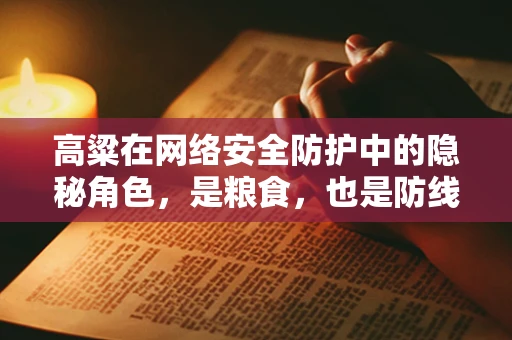 高粱在网络安全防护中的隐秘角色，是粮食，也是防线？