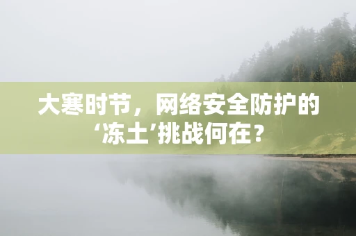 大寒时节，网络安全防护的‘冻土’挑战何在？