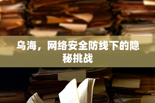 乌海，网络安全防线下的隐秘挑战