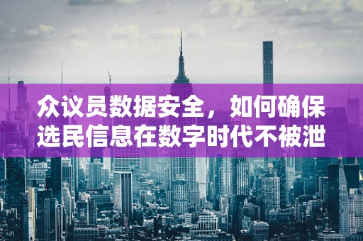 众议员数据安全，如何确保选民信息在数字时代不被泄露？