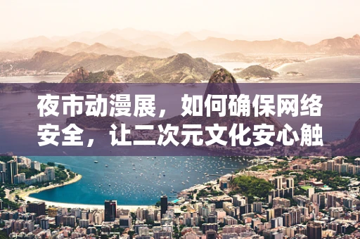 夜市动漫展，如何确保网络安全，让二次元文化安心触网？