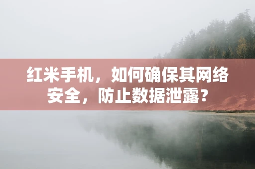 红米手机，如何确保其网络安全，防止数据泄露？