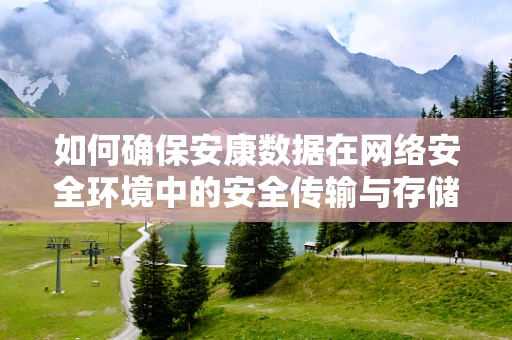 如何确保安康数据在网络安全环境中的安全传输与存储？