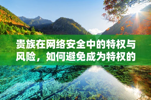 贵族在网络安全中的特权与风险，如何避免成为特权的牺牲品？
