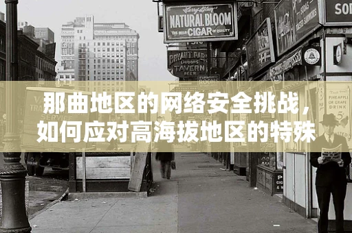 那曲地区的网络安全挑战，如何应对高海拔地区的特殊威胁？