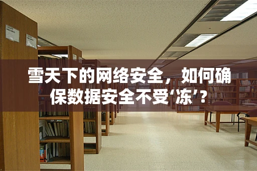 雪天下的网络安全，如何确保数据安全不受‘冻’？