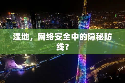 湿地，网络安全中的隐秘防线？