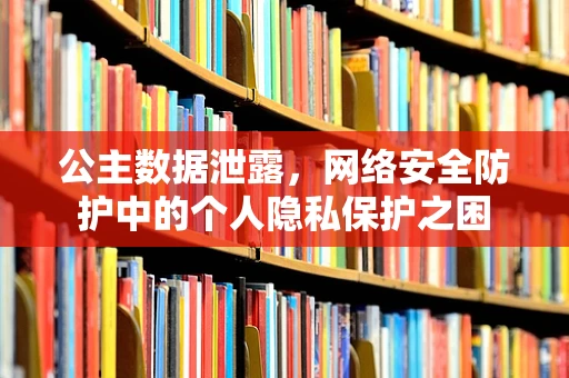 公主数据泄露，网络安全防护中的个人隐私保护之困