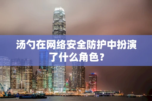 汤勺在网络安全防护中扮演了什么角色？