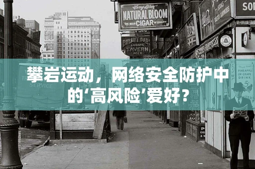 攀岩运动，网络安全防护中的‘高风险’爱好？