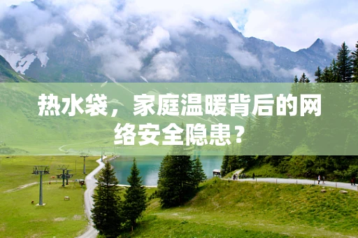热水袋，家庭温暖背后的网络安全隐患？