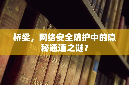 桥梁，网络安全防护中的隐秘通道之谜？