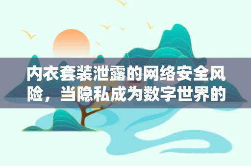 内衣套装泄露的网络安全风险，当隐私成为数字世界的软肋？