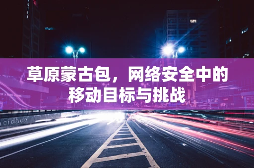草原蒙古包，网络安全中的移动目标与挑战