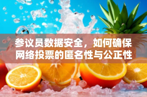 参议员数据安全，如何确保网络投票的匿名性与公正性？