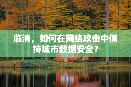 临清，如何在网络攻击中保持城市数据安全？