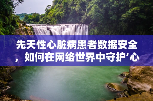 先天性心脏病患者数据安全，如何在网络世界中守护‘心’的脆弱？