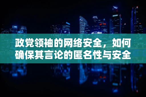 政党领袖的网络安全，如何确保其言论的匿名性与安全性？