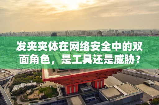 发夹夹体在网络安全中的双面角色，是工具还是威胁？