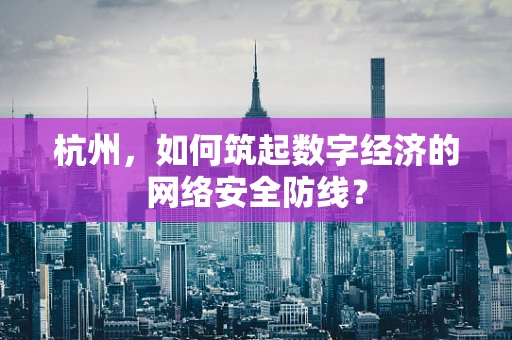 杭州，如何筑起数字经济的网络安全防线？