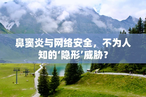 鼻窦炎与网络安全，不为人知的‘隐形’威胁？